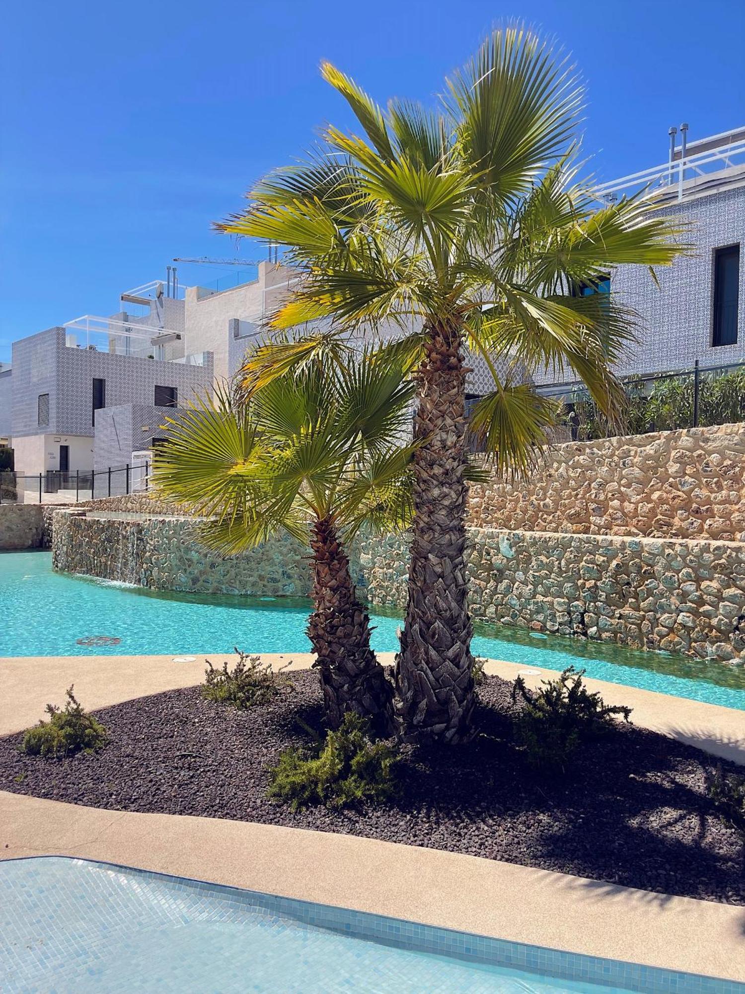 Salinas Lagoon - Penthouse With Swimming Lagoon, Quiet Community, Playstation, Near Golf San Miguel De Salinas Exteriér fotografie